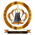 stenkinghaassole
